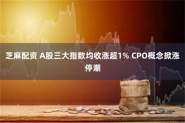 芝麻配资 A股三大指数均收涨超1% CPO概念掀涨停潮