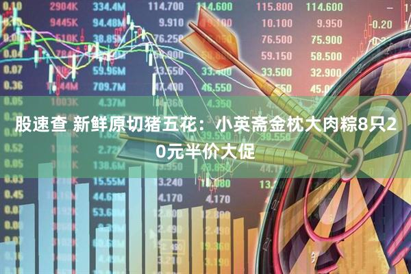 股速查 新鲜原切猪五花：小英斋金枕大肉粽8只20元半价大促